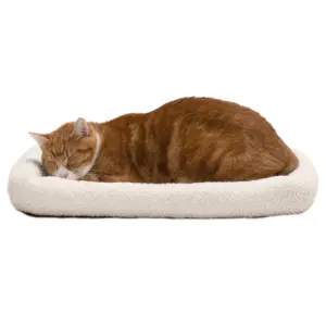 FurHaven Pet Products Faux Lambswool Bolster Crate Pet Bed | Cream | Extra Small | TOY | Sherpa Fleece Cream