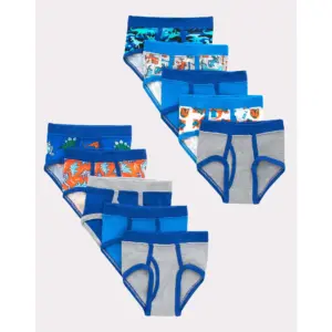 Hanes Toddler Boys' Tagless Briefs | Dinosaur Prints and Solids | 10-Pack Assorted 4 | Blue/Dinosaurs | 4T | Assorted (colors/prints vary)