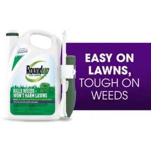 Roundup for Lawns₄ Ready-to-Use (Southern) | Weed Killer 1 gal