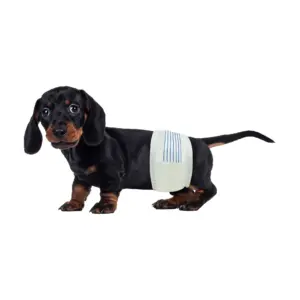 BV Male Dog Wraps | Dog Diapers for Male Dogs | Disposable Puppy Wraps | Small | 50 Count | S
