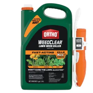 Ortho WeedClear Lawn Weed Killer Ready-To-Use with Comfort Wand | 1 gal
