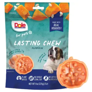 Dole Freshly Fetched Lasting Chew | Pumpkin Flavor Dog Dental Treats | No Wheat | Corn or Soy | 8oz | 5ct