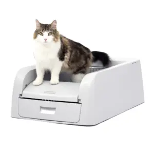 PetSafe ScoopFree Clumping Self-Cleaning Litter Box for Clumping Litter | Superior Odor Control Never Scoop Litter Again For Single & Multi-Cat Households