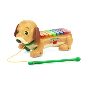 VTech Zoo Jamz Doggy Xylophone with Accessories | Baby & Toddler Toys