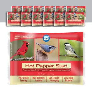 Blue Seal Premium Hot Pepper Suet Cake for Wild Birds | 11oz Suet Feeded (Pack of 12) | New
