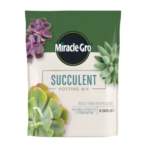 Miracle-Gro Succulent Potting Mix | For Indoor Succulents | Made with Plant Food | 4 qt