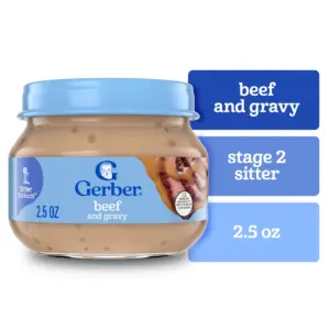 Gerber 2nd Foods Mealtime for Baby Baby Food | Chicken and Gravy | 2.5 Ounce Jar (10 Pack)