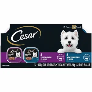 Cesar 3.5 Ounce Gourmet Filets Beef Wet Food Variety Pack (Pack of 2)