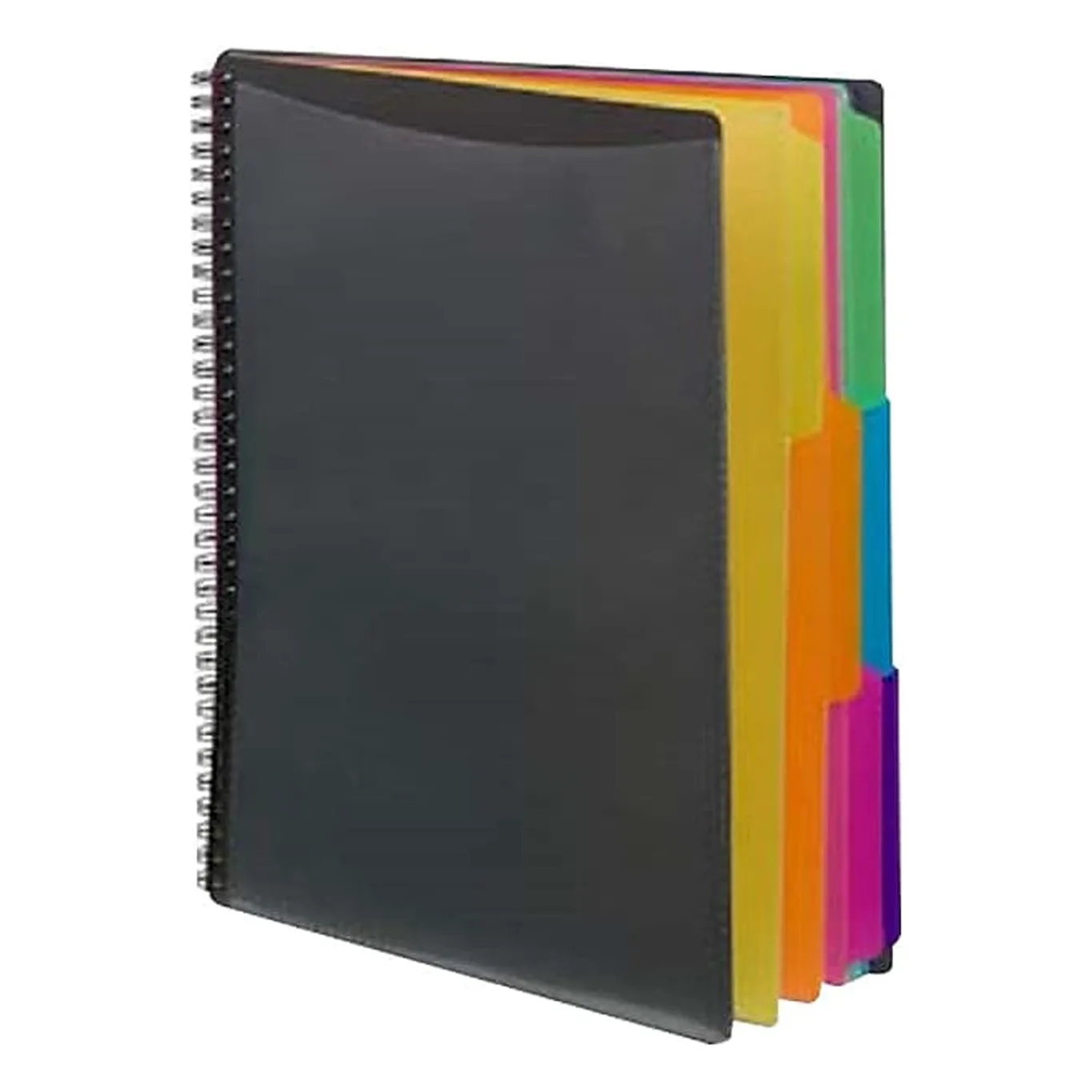 Poly Project Organizer 12 Letter-Size Sleeves | Gray with Bright Pockets | 1