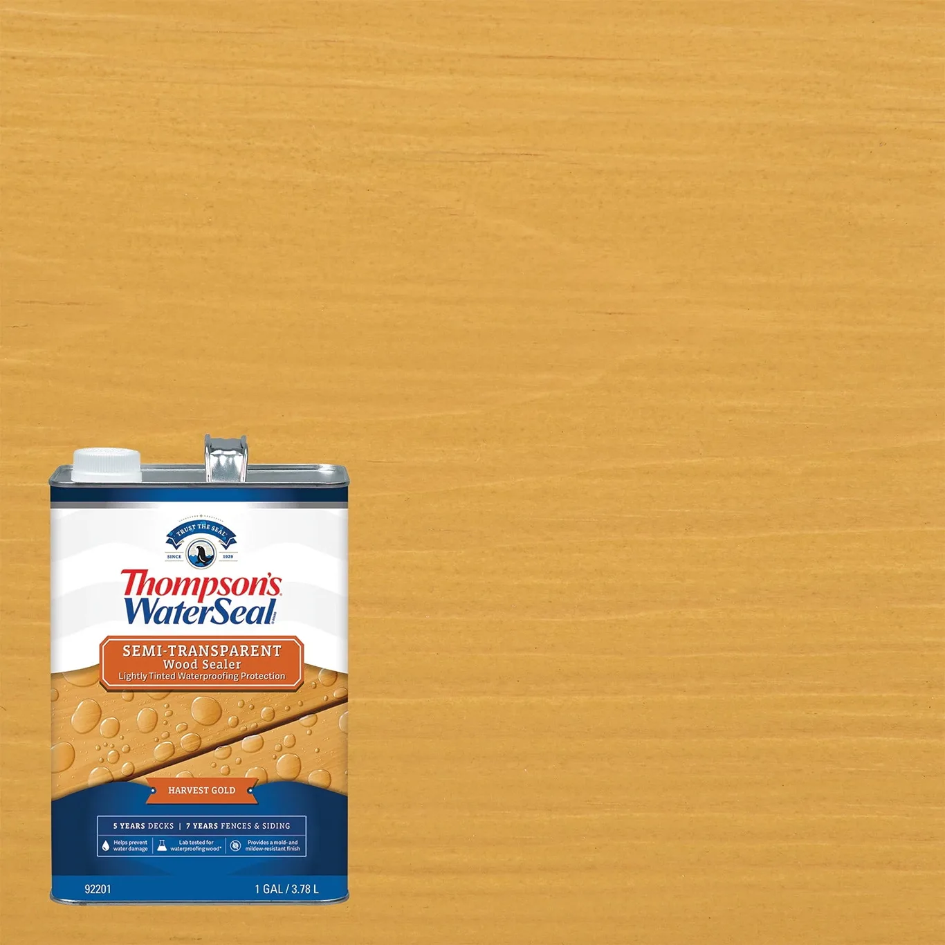 Thompson's WaterSeal Wood Sealer Solid Natural Cedar Waterproofing Wood Stain & Sealer 1 gal
