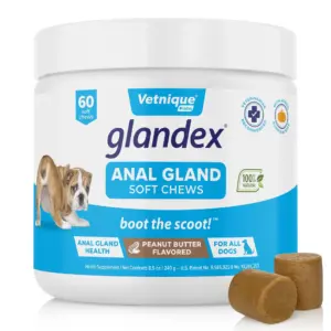 Vetinque Labs Glandex Anal Gland Soft Chews | for All Dogs | Peanut Butter Flavored | 60 Count