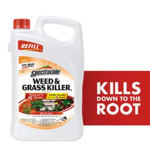 Spectracide Weed and Grass Killer Refill | for Driveways | Walkways | Trees and Flower Beds | 1.3 gal. | Single