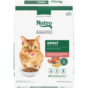 Nutro Wholesome Essentials Adult Dry Cat Food | Salmon and Brown Rice Recipe | 14 Lbs