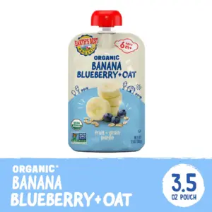 Earth's Best Organic Stage 2 Baby Food | Banana Blueberry Oat Fruit and Grain Puree | 3.5 Ounce Pouch | Single