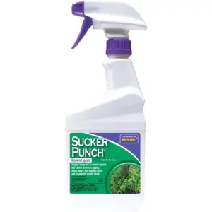 16oz. Sucker Punch RTU Knock Out Sprouts (Premium Edition)