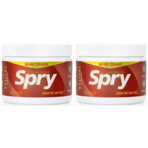 Spry Xylitol Chewing Gum Dental Defense | Aspartame-Free Sugar-Free Cinnamon 100 Pieces 1 Pack | 100 Count (Pack of 1) | 100 ct