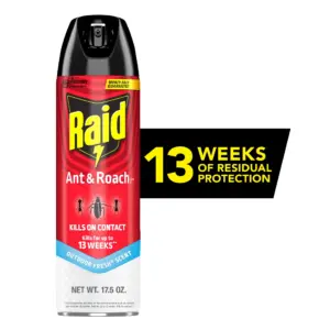 Raid Ant and Roach Insect Killer | Indoor Insecticide | Residual Killing Power | Outdoor Fresh Scent | 17.5 Ounce | Single | 1
