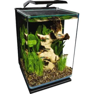 Marineland Portrait Glass LED aquarium Kit | 5 Gallons | Hidden Filtration