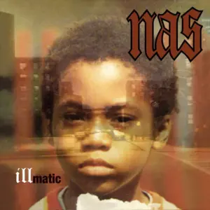 Nas | Illmatic | Music and Performance | Vinyl