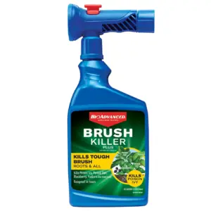 BioAdvanced Brush Killer Plus | Ready-to-Spray | 32 Ounce | 4,000 Square Feet