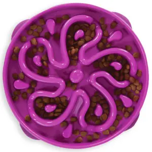 Outward Hound Fun Feeder Slo Bowl | Large Slow Feeder Dog Bowl | 4 Cups | Purple | 1 | Large/Regular