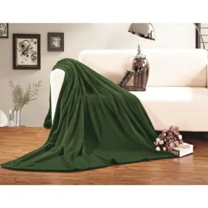 Elegant Comfort Fleece Plush Luxury BLANKET All Sizes KING/CAL KING Green | California King