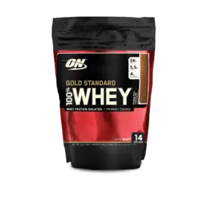 Optimum Nutrition Gold Standard 100% Whey Protein Powder | Double Rich Chocolate | 24g Protein | 1 Lb