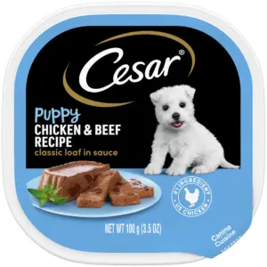 Cesar Classic Loaf Inch Sauce Chicken & Beef Recipe Wet Dog Food For Puppies | 3.5 Ounce Tray | 1
