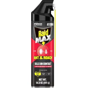 Raid Max Indoor Ant & Roach Insecticide | Insect Killer | 14.5 Ounce | Single