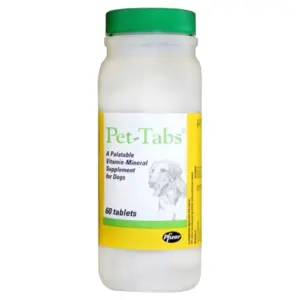 Multivitamin & Mineral Supplement for Dogs with Special Nutritional Needs | Chewable Tablet | 60 Count Bottle | 60 ct