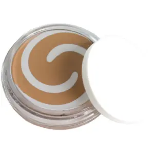 COVERGIRL & OLAY Simply Ageless Foundation | Soft Honey | SOFT HONEY 255