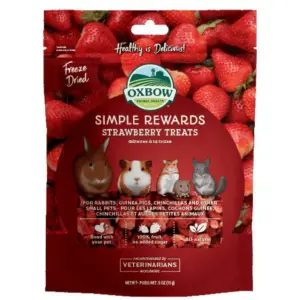 Oxbow Simple Rewards Strawberry Treats for Small Animals | 0.5 Ounce