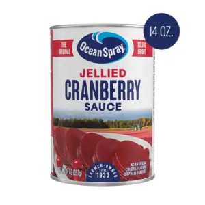 Ocean Spray Jellied Cranberry Sauce | Canned Side Dish | 14 Ounce Can | Single