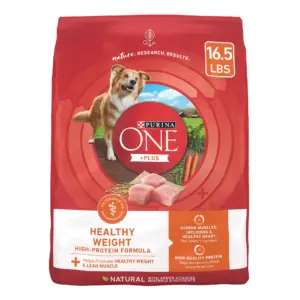 Purina ONE Plus Healthy Weight Dry Dog Food for Adults | High Protein with Real Turkey | 16.5 lb Bag