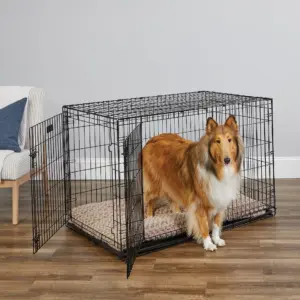 MidWest iCrate for Dogs | Metal | Double Door | Includes Leak-Proof Pan | Floor Protecting Feet | Divider Panel | Foldable | Black | 48 L x 30 W x 33 H | 2 | 48 Inch