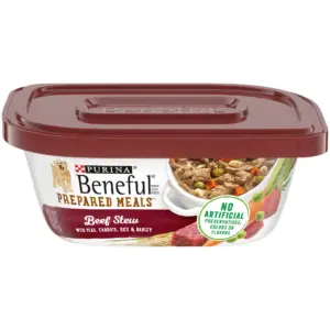 Purina Beneful Dog Food Freshly Prepared Meals | Dog Food Fresh | High Protein Wet Dog Food | Beef Stew | 1