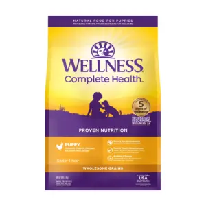 Wellness Complete Health Natural Puppy Dry Dog Food | Chicken | Salmon and Oatmeal | 15-Pound Bag | 15 lbs