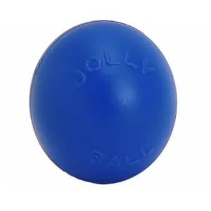 Jolly Pets Push-N-Play Ball Blue 10 inch Interactive Hard Plastic Toy for Dogs (Premium Edition)