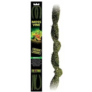 Exo-Terra Silk Ficus Forest Plant | M