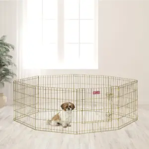 MidWest Homes For Pets Metal Exercise Dog Playpen No Door | Gold | 24H | 24 w/Door