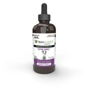 VetriScience Vetri-DMG Immune Health Dog | Cat and Bird Liquid Formula | 28-Milliliters