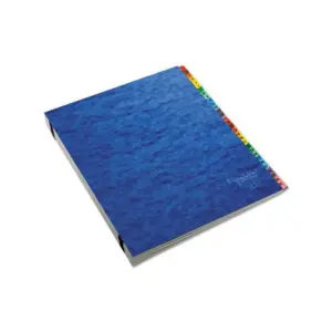 Oxford Daily Desk File/Sorter | Letter Size | 65% Recycled | Black/Blue