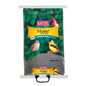 Kaytee Nyjer Songbird Wild Bird Food Thistle Seed 20 lb