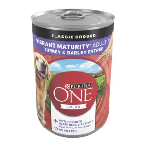 Purina ONE Plus Vibrant Maturity Wet Dog Food for Adults High Protein Turkey and Barley | 13 Ounce Can | 1 | 12
