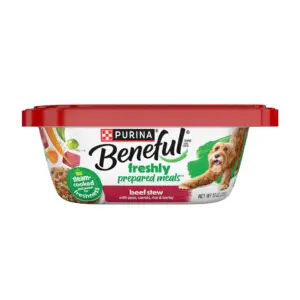 Purina Beneful Dog Food Freshly Prepared Meals | Dog Food Fresh | High Protein Wet Dog Food | Beef Stew