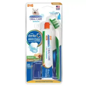 Pet kare | Nylabone Advanced Oral Care Natural Dog Dental Kit Adul