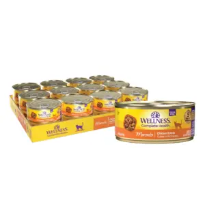 Wellness Complete Health Grain Free Canned Cat Food | Chicken Pate | 5.5 Ounces (Pack of 24)