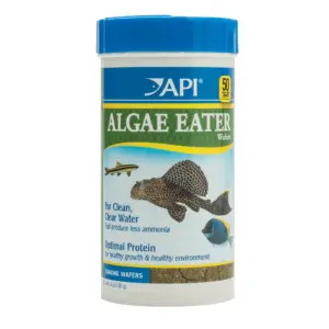 API Algae Eater Premium Sinking Wafer Fish Food 3.7oz (Premium Edition)