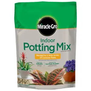 Miracle-Gro Indoor Potting Mix | Blended for a Variety of Houseplants | 6 qt. | 2-Pack