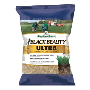 Jonathan Green (#10321) Black Beauty Ultra Grass Seed | 3# bag